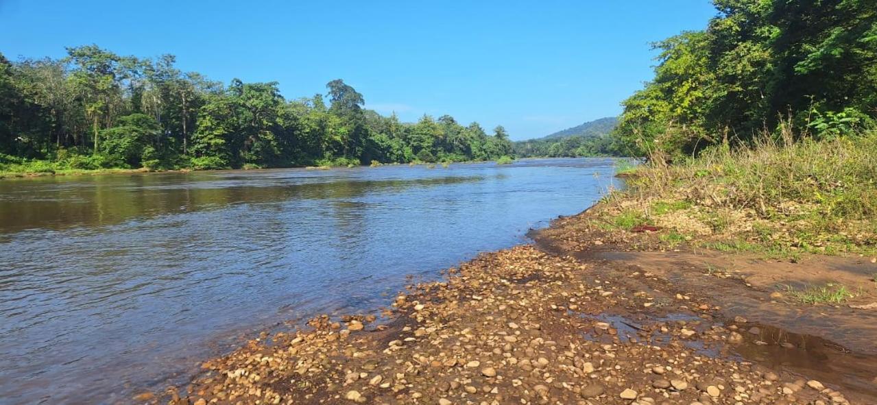 KallanaJackroot Heritage Athirappilly公寓 外观 照片